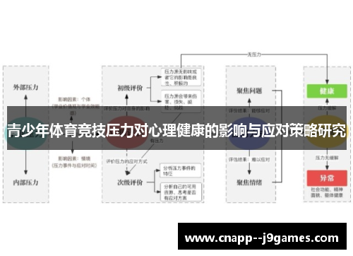 青少年体育竞技压力对心理健康的影响与应对策略研究