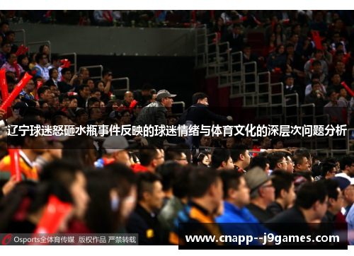 辽宁球迷怒砸水瓶事件反映的球迷情绪与体育文化的深层次问题分析
