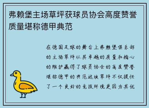 弗赖堡主场草坪获球员协会高度赞誉质量堪称德甲典范 弗赖堡主场草坪获球员协会高度赞誉质量堪称德甲典范